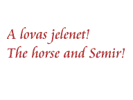 A lovas jelenet--The horse and Semir